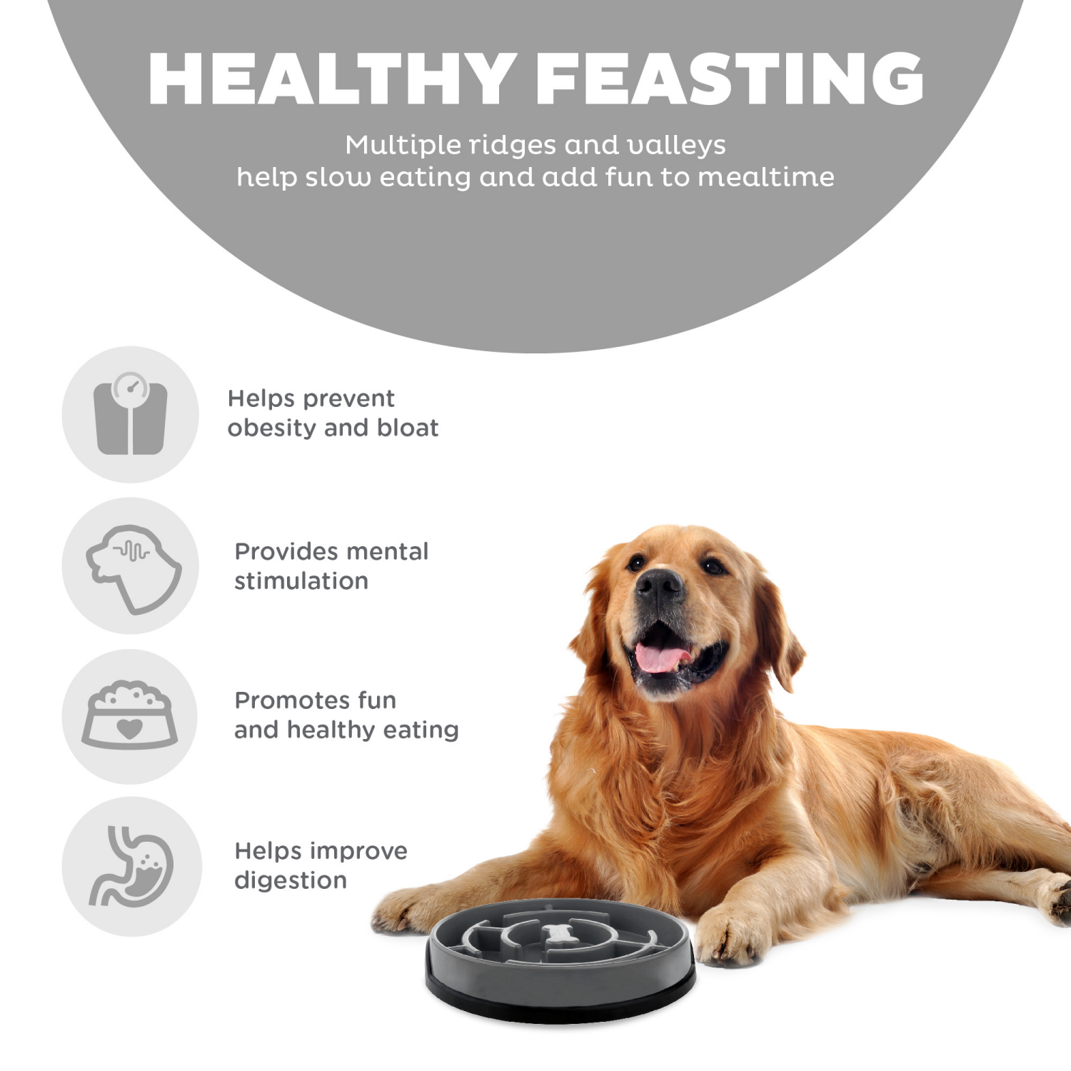 slide 5 of 5, Outward Hound Slo Bowl Fun Feeder 1 ea, 1 ct