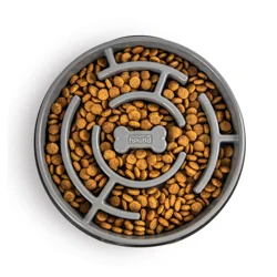 Outward Hound Slo Bowl Fun Feeder 1 ea