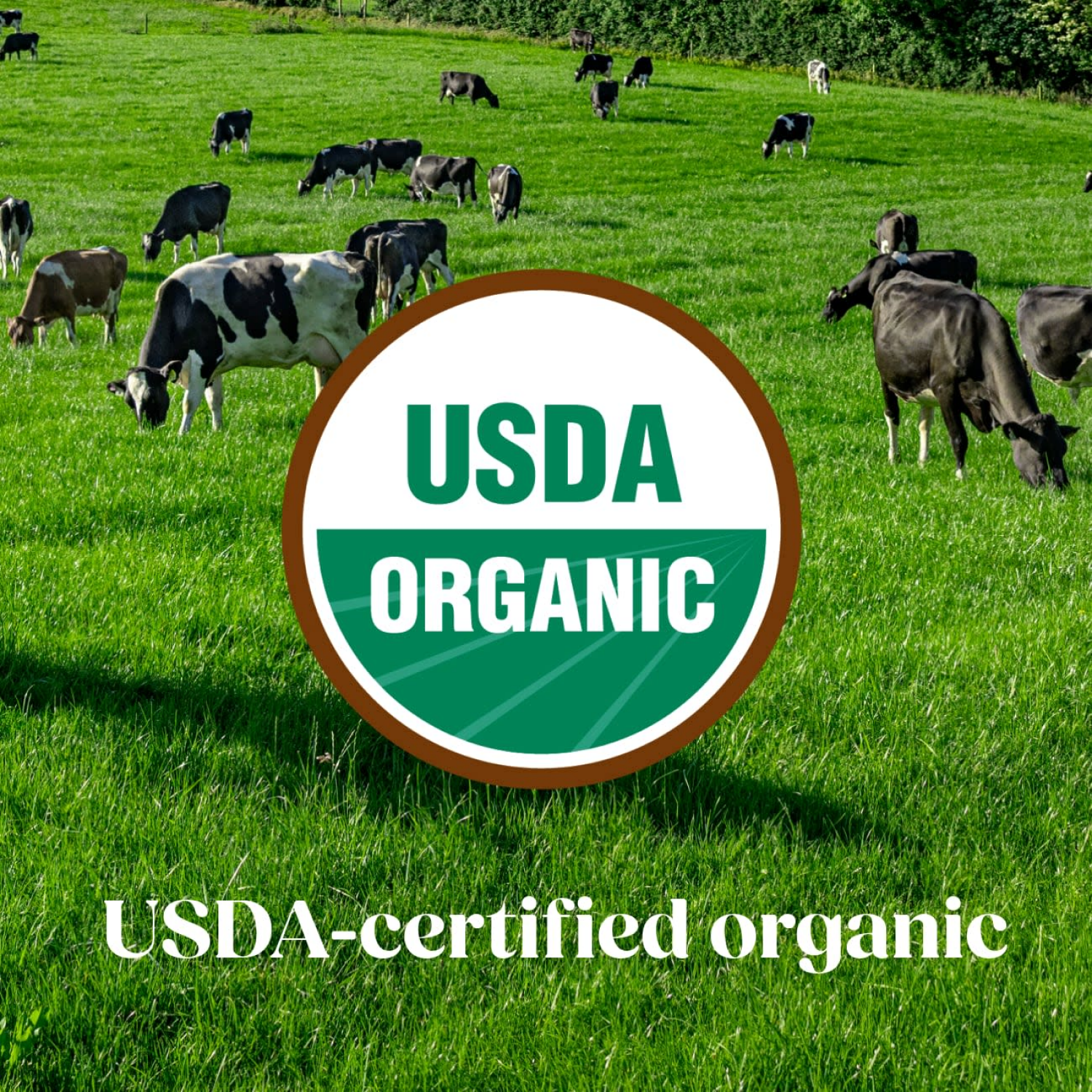 slide 5 of 8, Similac Liquid Formula Pure Bliss - 32 fl oz, 32 fl oz