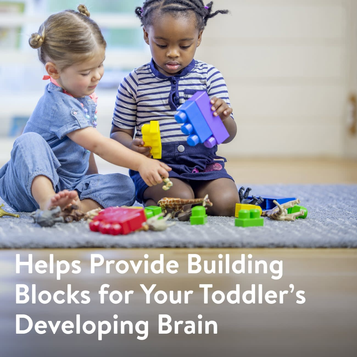 slide 7 of 8, Similac Go & Grow 360 Total Care Toddler Nutritional Drink Powder 1-24 oz Cans, 24 oz