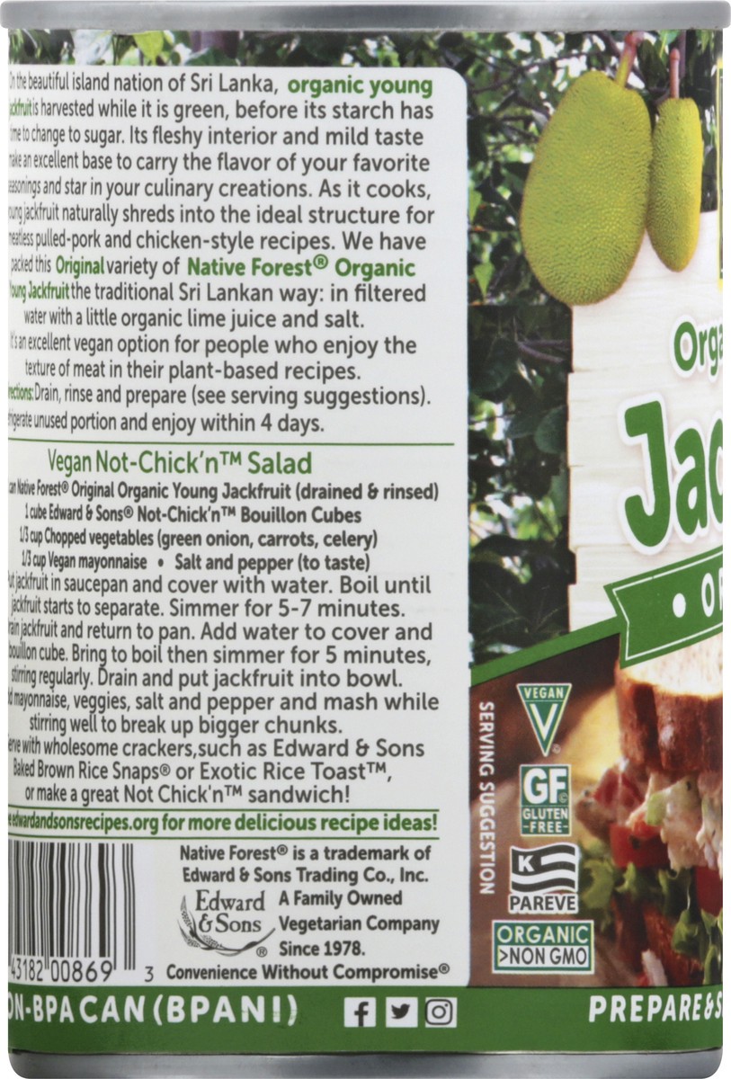 slide 2 of 10, Native Forest Young Organic Original Jackfruit 14 oz, 14 oz