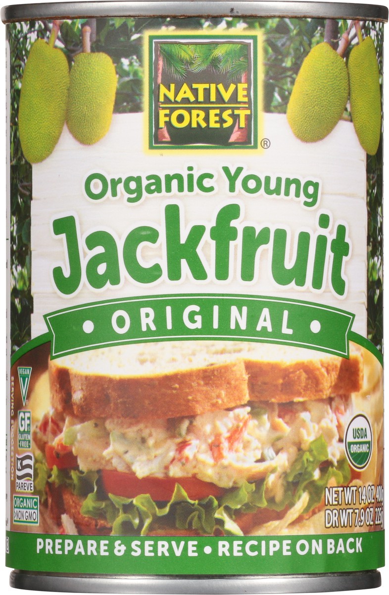 slide 1 of 10, Native Forest Young Organic Original Jackfruit 14 oz, 14 oz