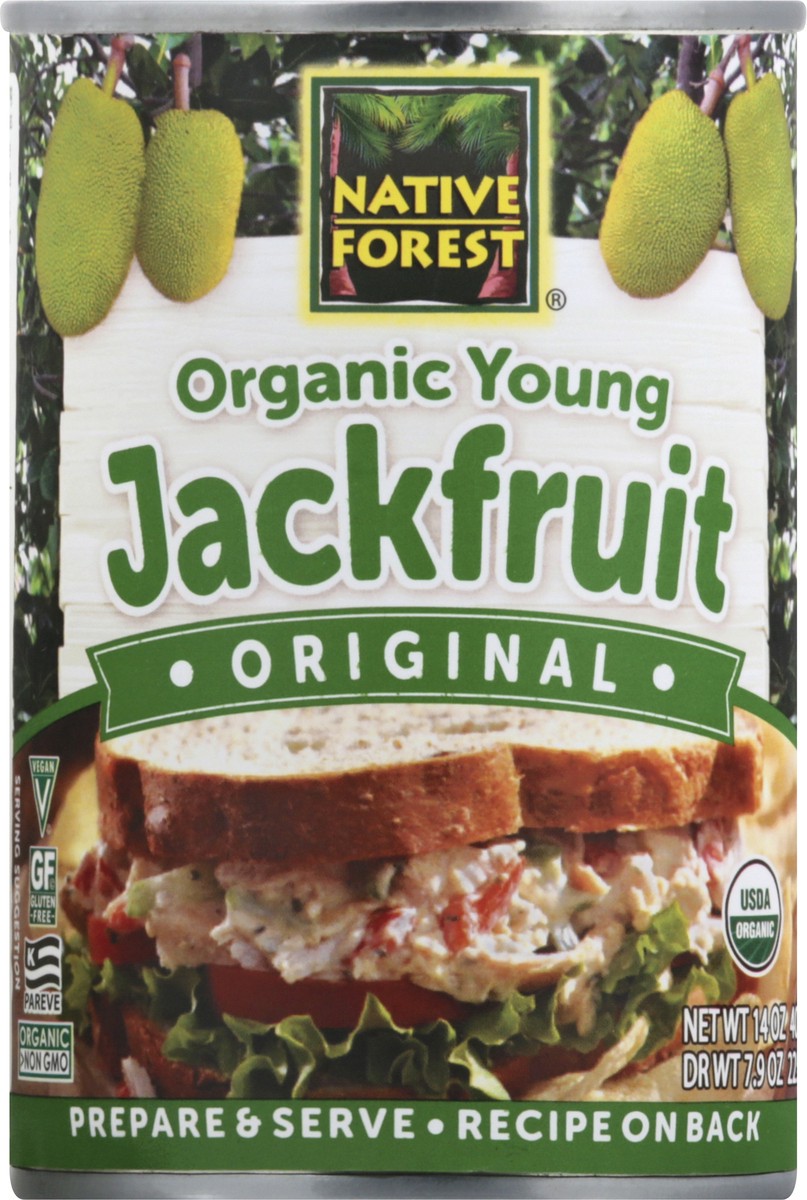 slide 6 of 10, Native Forest Young Organic Original Jackfruit 14 oz, 14 oz