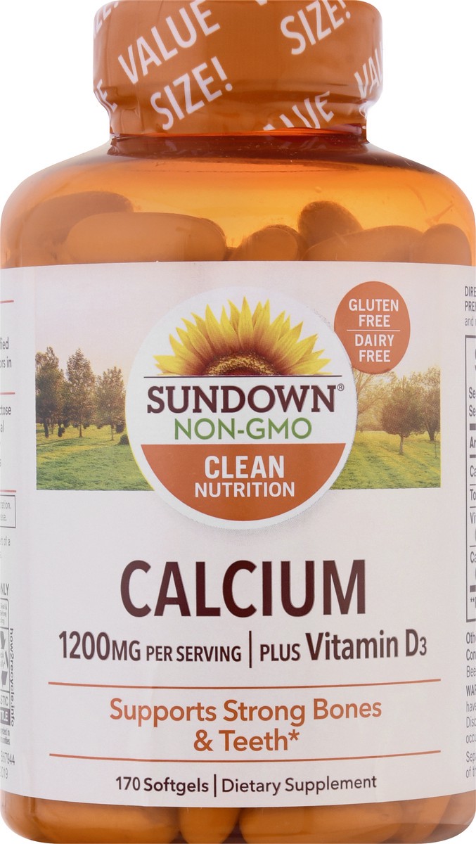 slide 6 of 9, Sundown Naturals Calcium Plus Vitamin D3, 170 ct