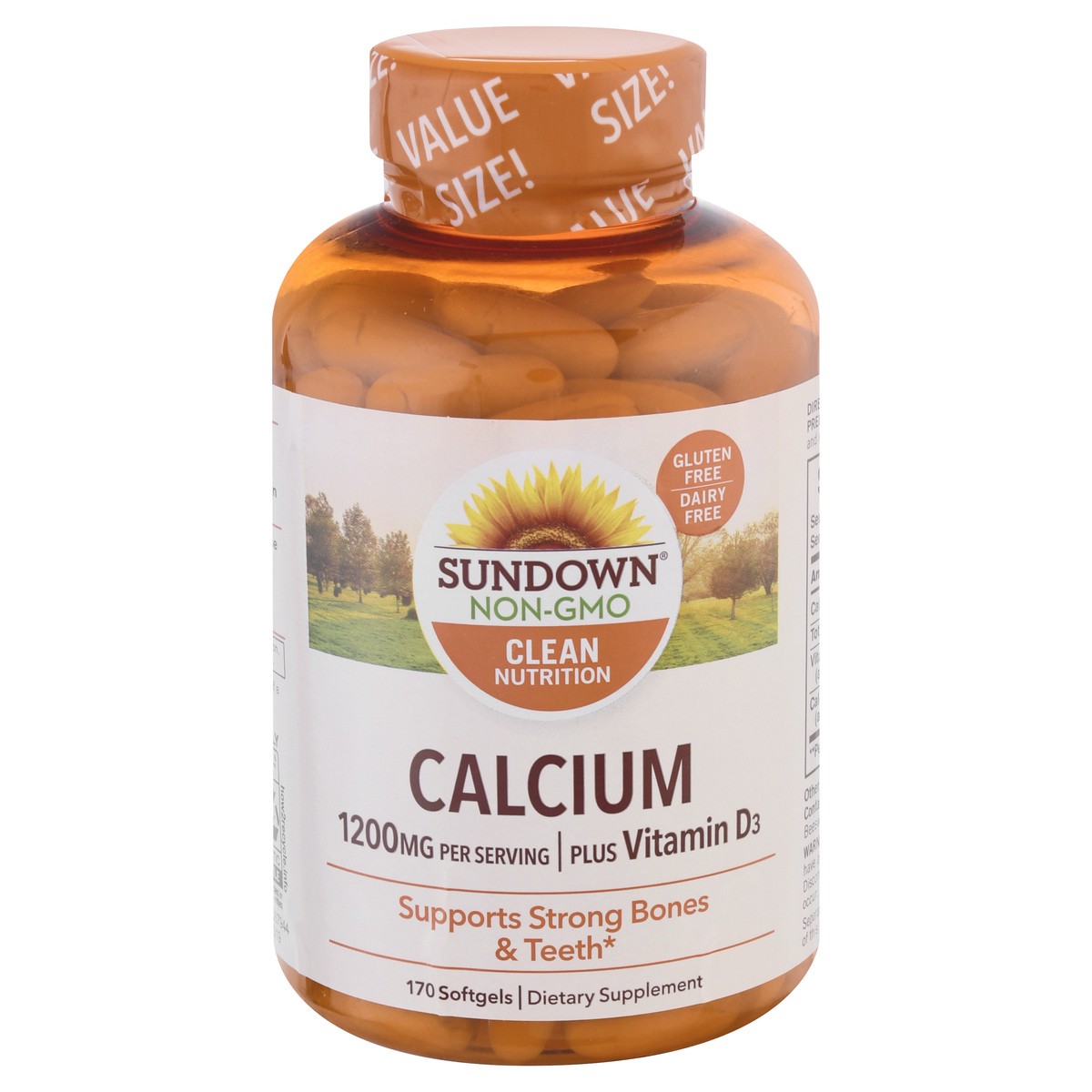 slide 1 of 9, Sundown Naturals Calcium Plus Vitamin D3, 170 ct