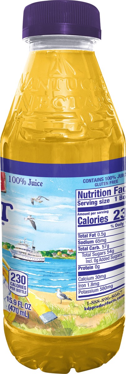 slide 5 of 12, Nantucket Nectars Orchard Apple, 15.9 fl oz plastic bottle, 15.90 fl oz
