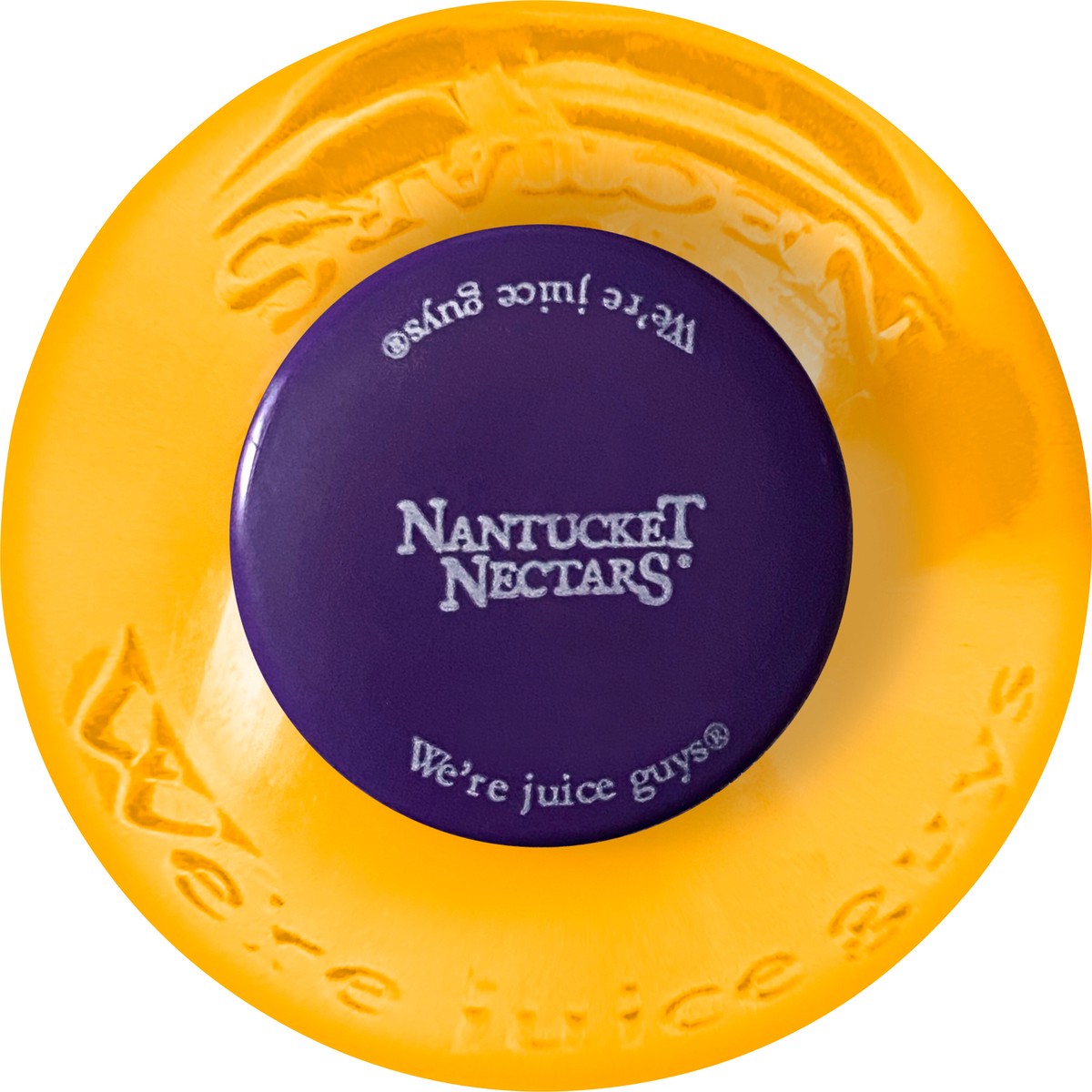 slide 6 of 12, Nantucket Nectars Orchard Apple, 15.9 fl oz plastic bottle, 15.90 fl oz