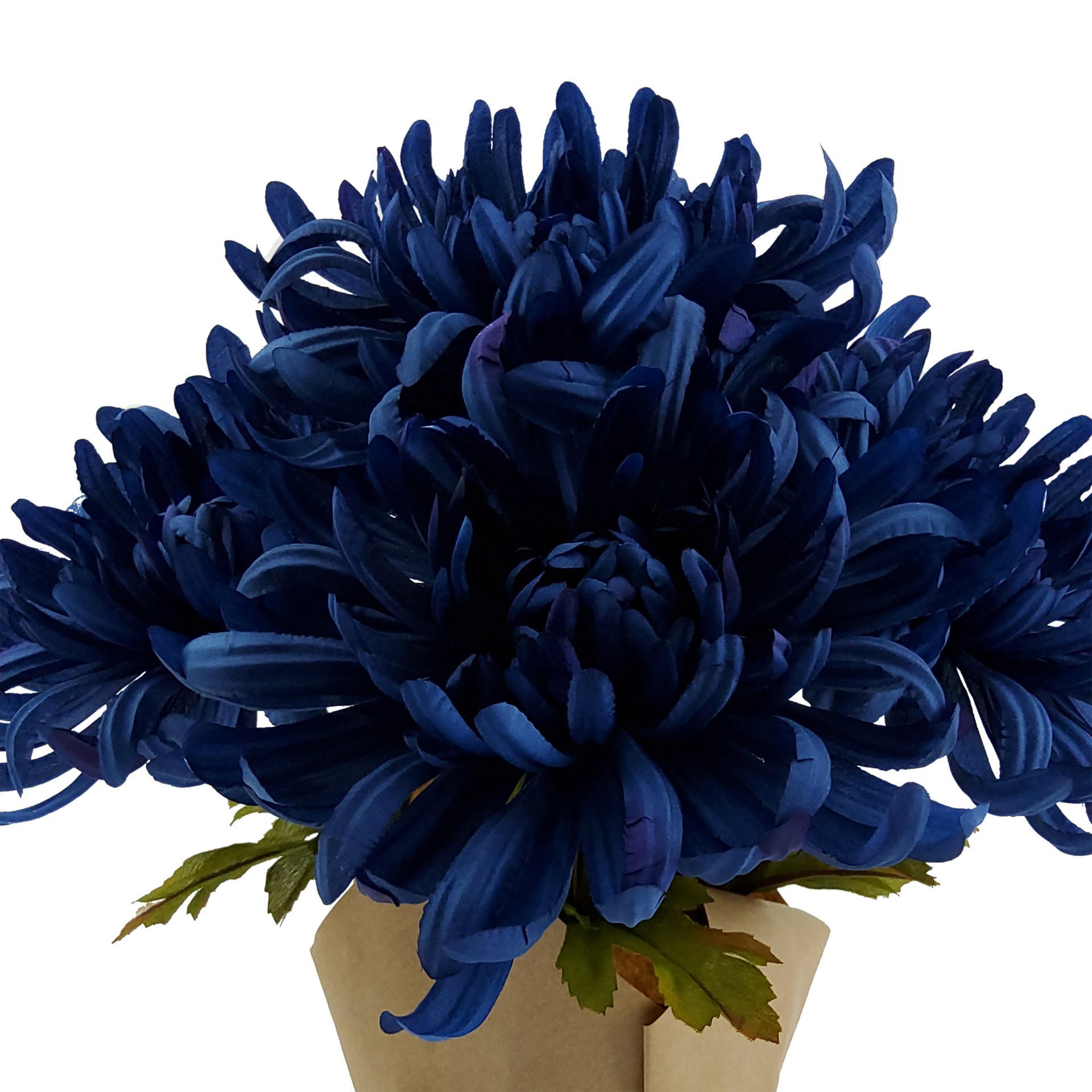 slide 3 of 3, 14" Potted Dark Blue Mum By Ashland, 12 in x 12 in x 14 in