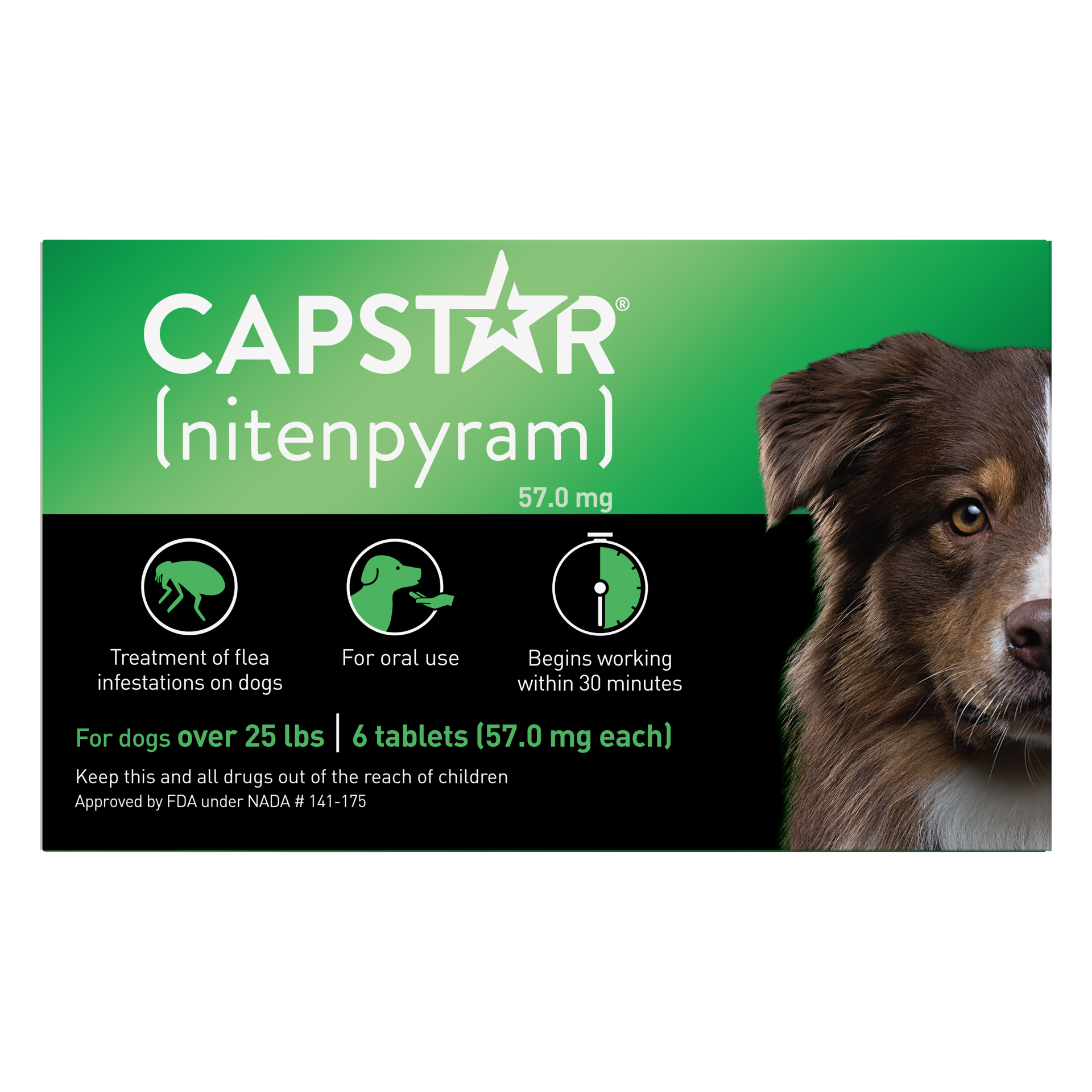 slide 1 of 1, CAPSTAR (nitenpyram) Fast-Acting Oral Flea Treatment for Large Dogs (over 25 lbs), 6 Tablets, 57 mg, 6 ct