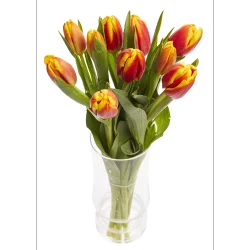 Tulip Bouquet