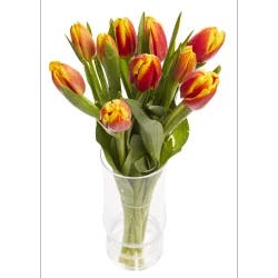 Tulip Bouquet