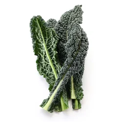 Organic Dinosaur Kale, 1 Each