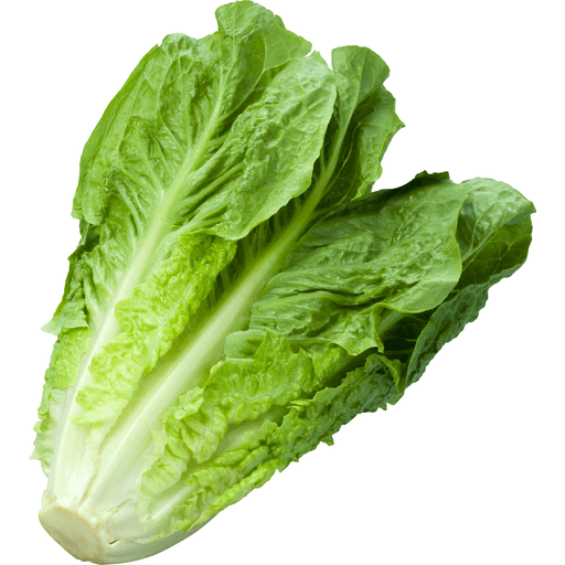slide 1 of 1, Organic Lettuce, Romaine, 1 ct