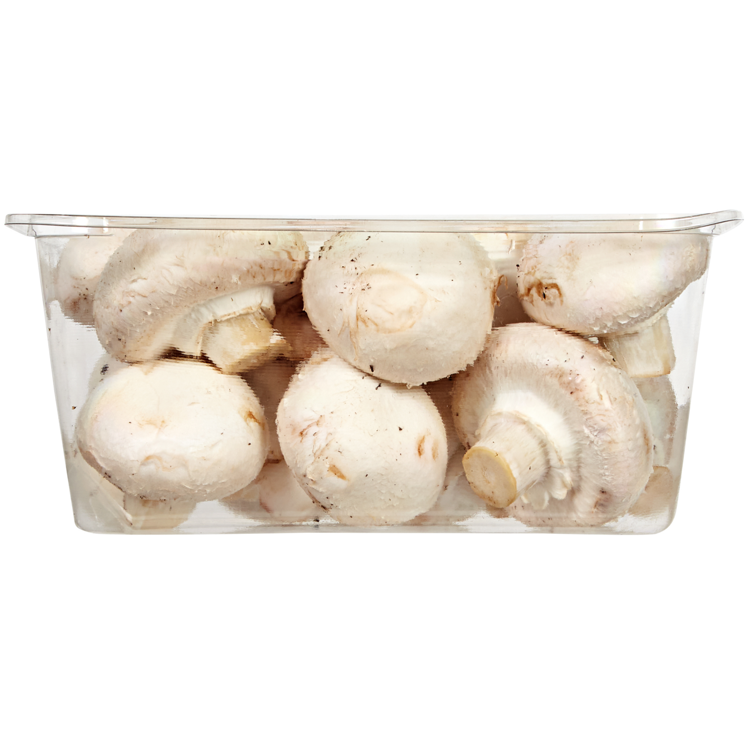 slide 2 of 2, True Goodness Organic Whole White Mushrooms, 16 oz, 16 oz