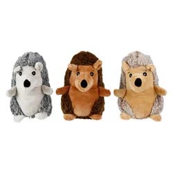 Hedgehog Dog Toy, Assorted