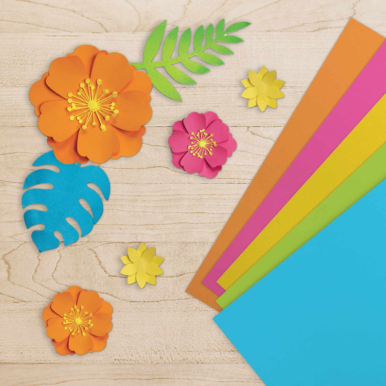 slide 4 of 7, Meijer Label Colored Cardstock, 1 ct