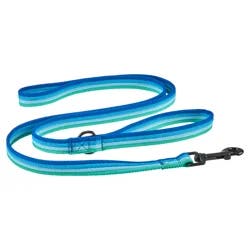 Meijer Dog Leash Blue Bright Stripe