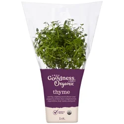 True Goodness Organic Potted Thyme 4"