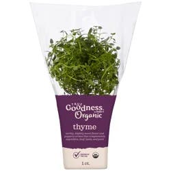 True Goodness Organic Potted Thyme 4"