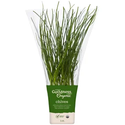 True Goodness Organic Potted Chives 4&quot;