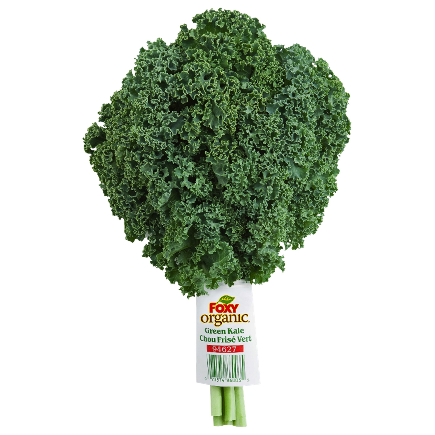 slide 1 of 1, Green Kale, organic, 1 ct