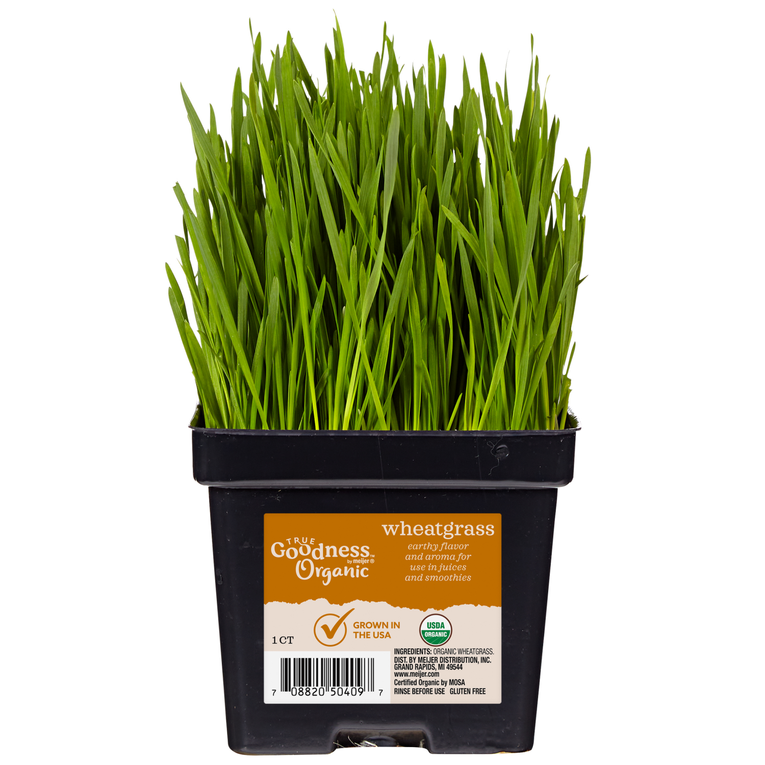 slide 1 of 2, True Goodness Wheatgrass, 1 ct