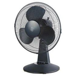 Polar Wind 12'' Black Desk Fan