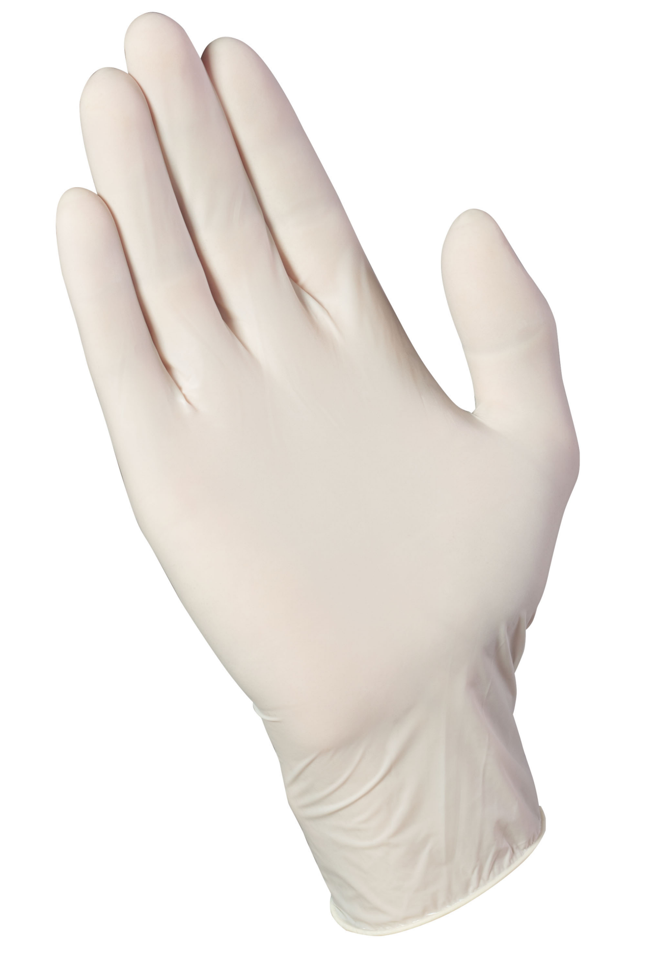 slide 4 of 5, Meijer Disposable Latex Gloves One Size Fits Most, 12 ct