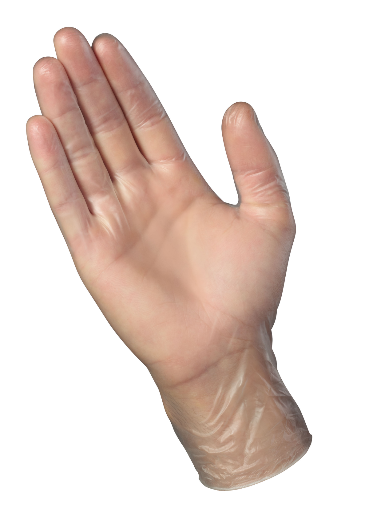 slide 2 of 4, Meijer Disposable Vinyl Gloves One Size Fits Most, 12 ct