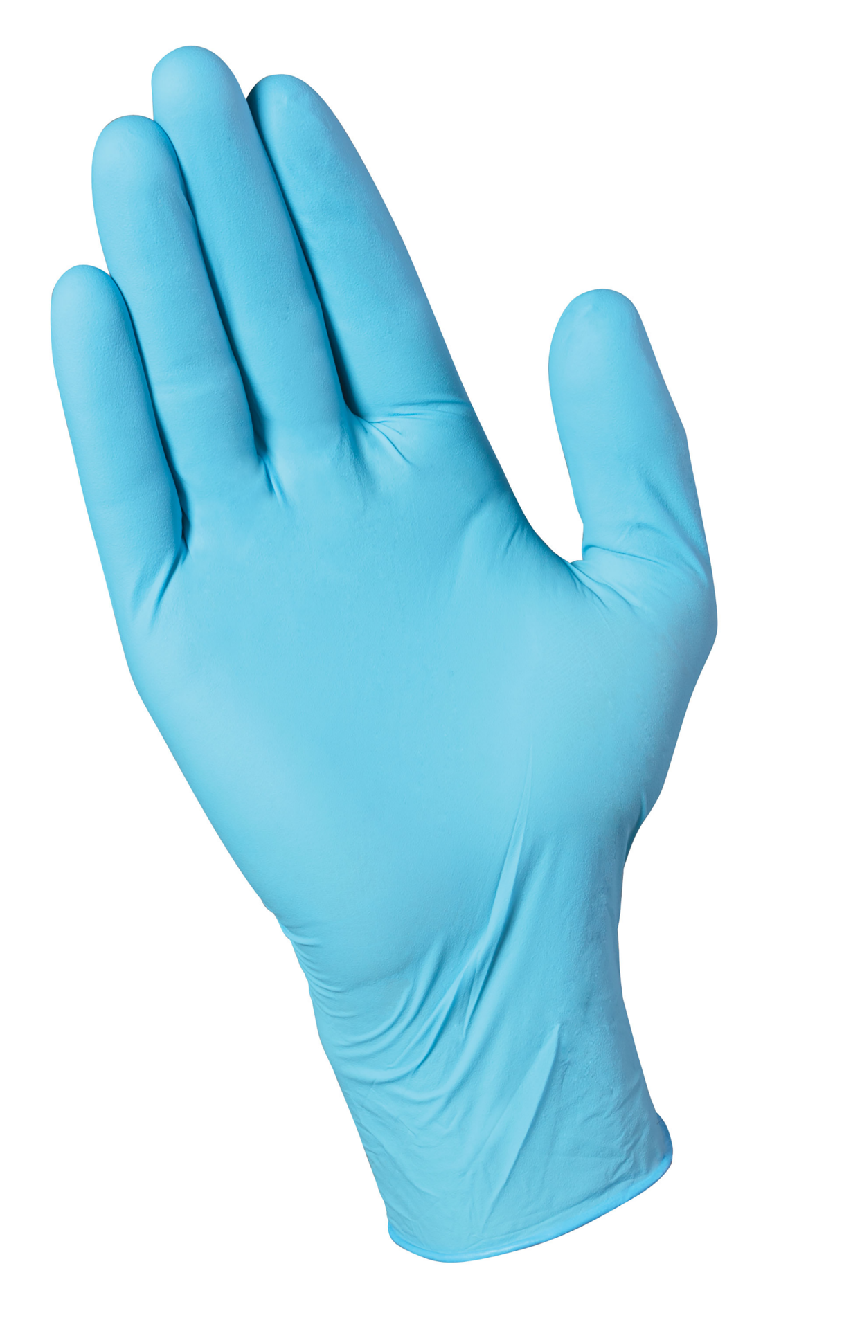 slide 4 of 5, Meijer Disposable Nitrile Gloves One Size Fits Most, 12 ct