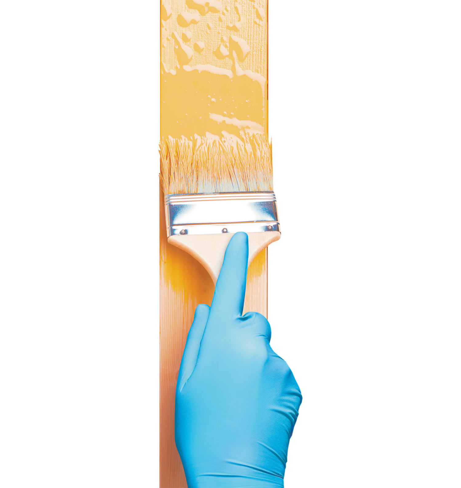 slide 5 of 5, Meijer Disposable Nitrile Gloves One Size Fits Most, 12 ct