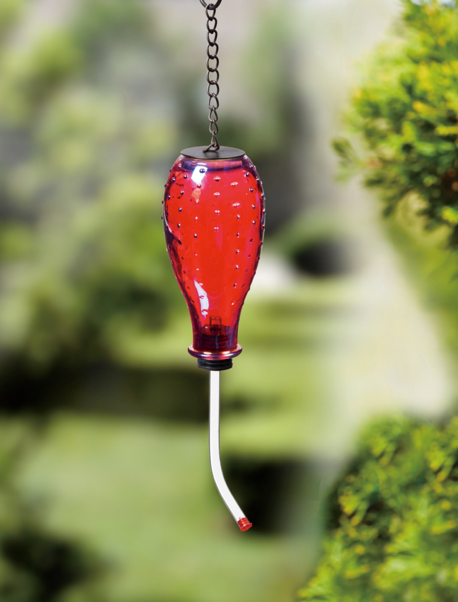 slide 4 of 4, ROOM & RETREAT Room and Retreat Hummingbird Feeder Color Glass, 6 in