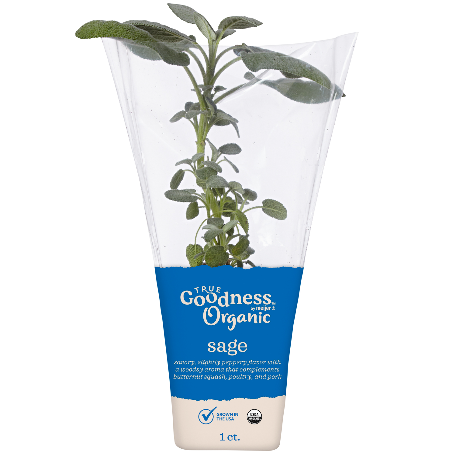 slide 1 of 2, True Goodness Organic Potted Sage 4", 4 in