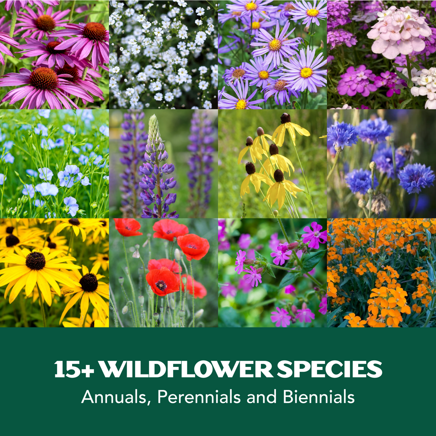 slide 3 of 4, Lawnscape Midwest Wildflower Mix, 1 ct