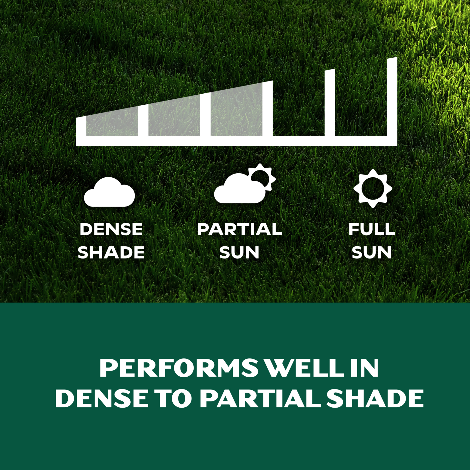 slide 4 of 4, LawnScape Premium Grass Seed Dense Shade , 3 lbs, 3 lb