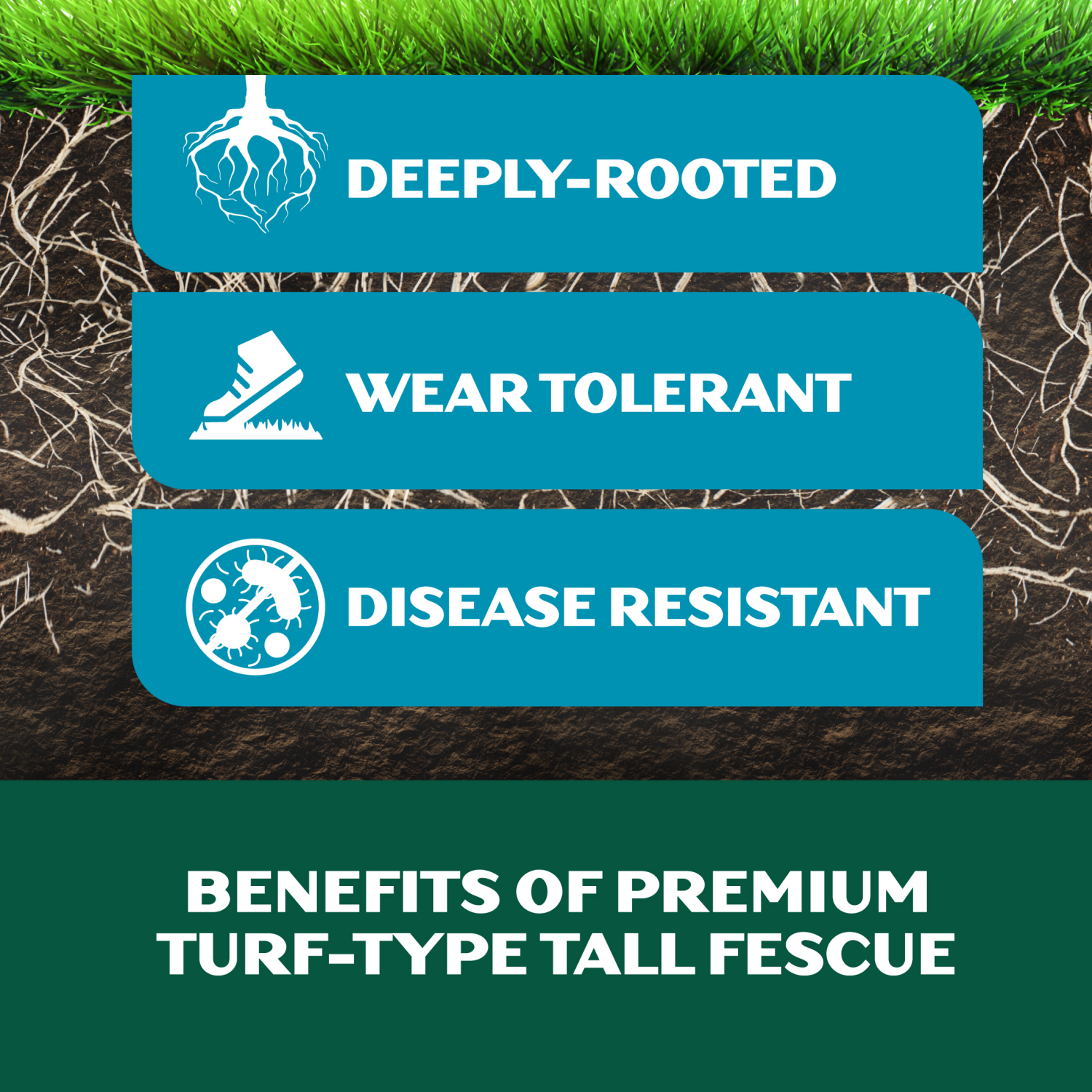 slide 3 of 5, Lawnscape Drought Defy 3lb, 3 lb