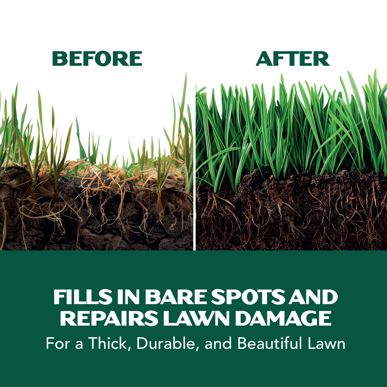 slide 3 of 5, LawnScape Rapid Lawn Repair, Dense Shade Mix, 5 lbs, 5 lb