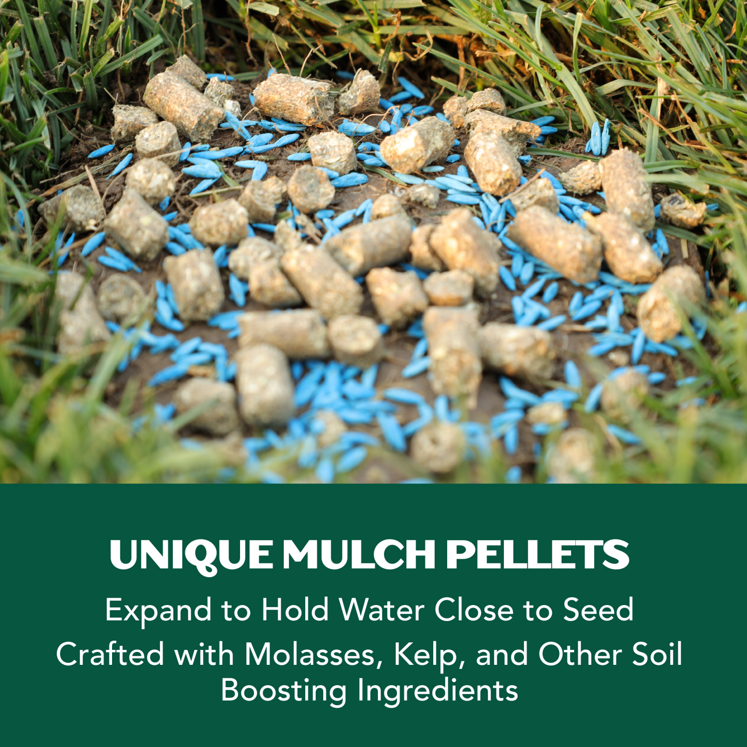 slide 4 of 5, LawnScape Rapid Lawn Repair, Dense Shade Mix, 5 lbs, 5 lb