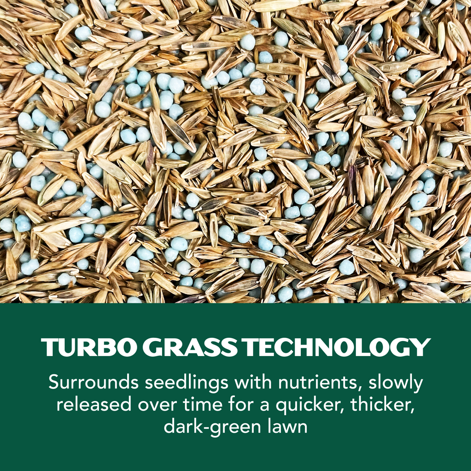 slide 3 of 3, Lawnscape Turbo Grass Sun & Shade 15Lb, 15 lb