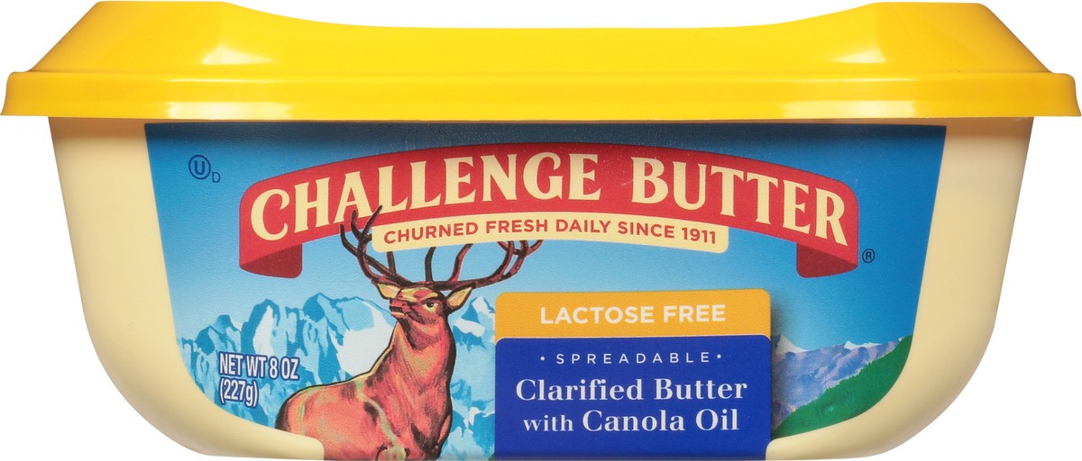 slide 2 of 9, Challenge Dairy Lactose Free Spreadable Clarified Butter with Canola Oil 8 oz, 8 oz