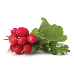 Radishes