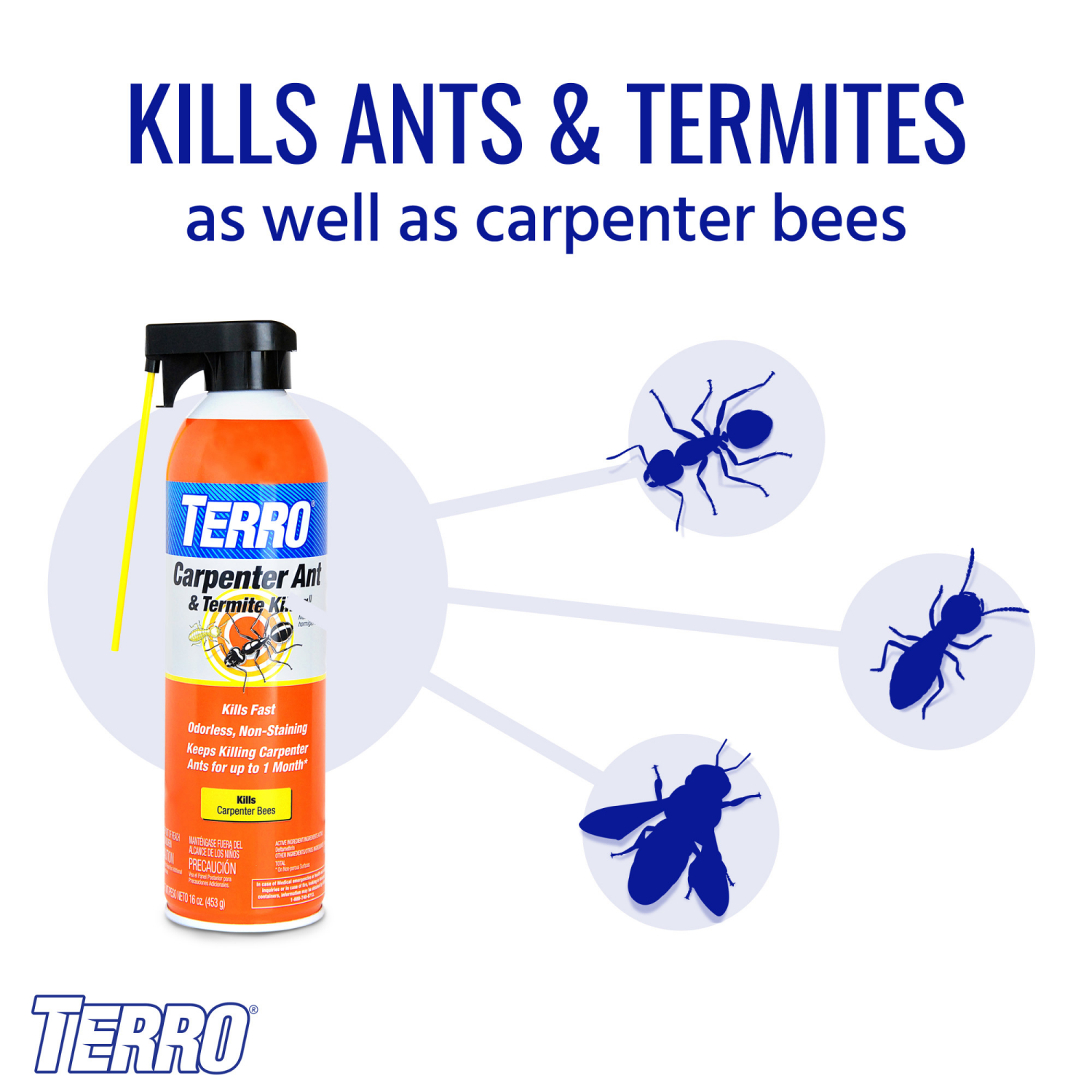 slide 3 of 4, TERRO Carpenter Ant & Termite Killer Spray, 16 oz