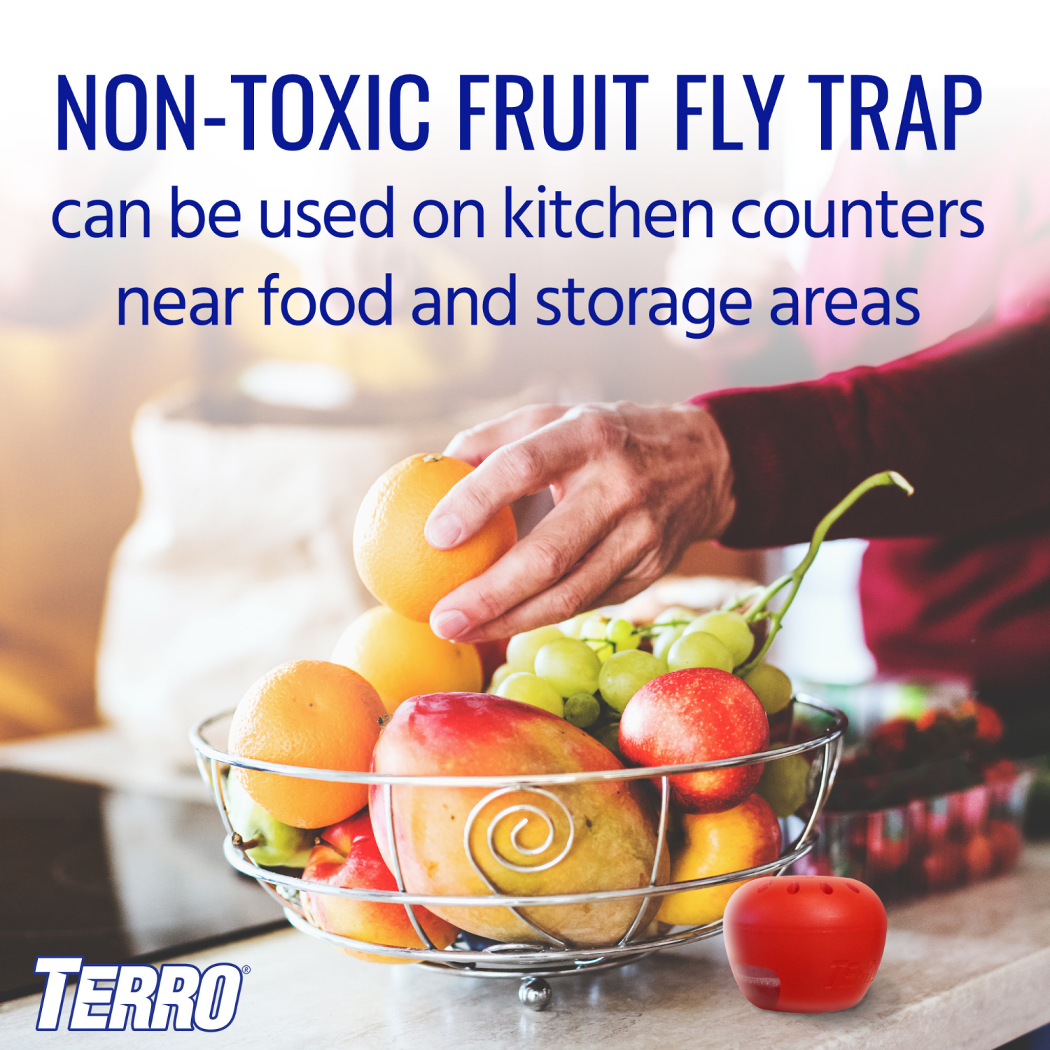 slide 3 of 8, TERRO Fruit Fly Trap 2 - 0.675 fl oz Traps, 1 ct