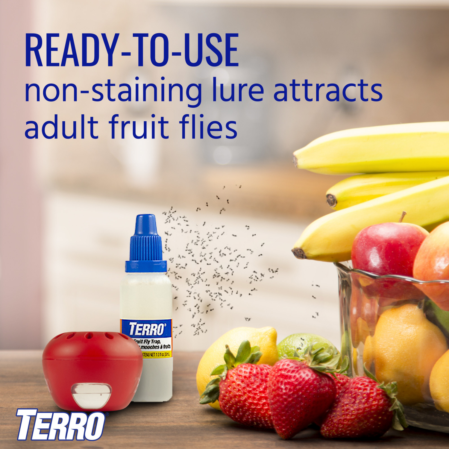 slide 4 of 8, TERRO Fruit Fly Trap 2 - 0.675 fl oz Traps, 1 ct