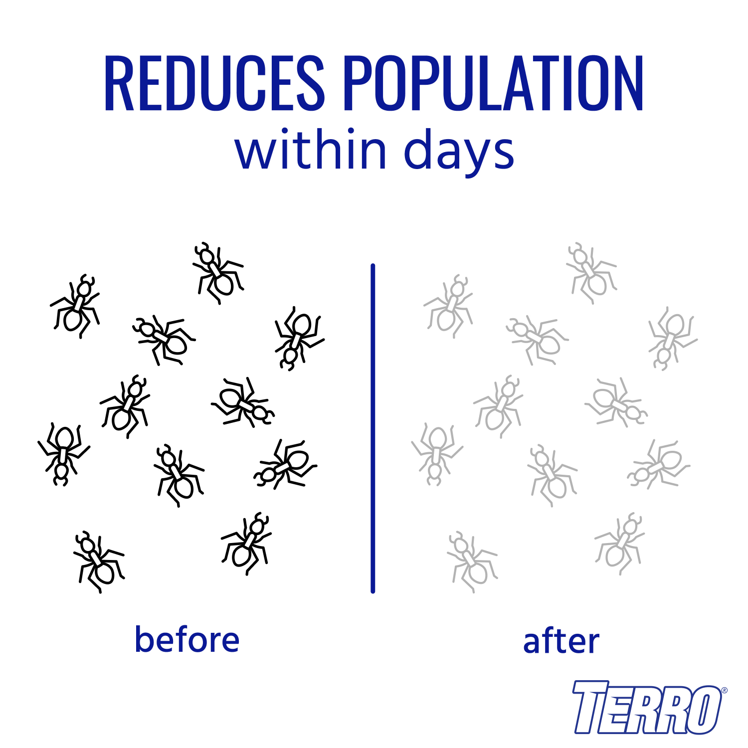 slide 5 of 6, TERRO Ant Killer II Liquid Ant Baits 4 - 0.36 fl oz Each, 4 ct