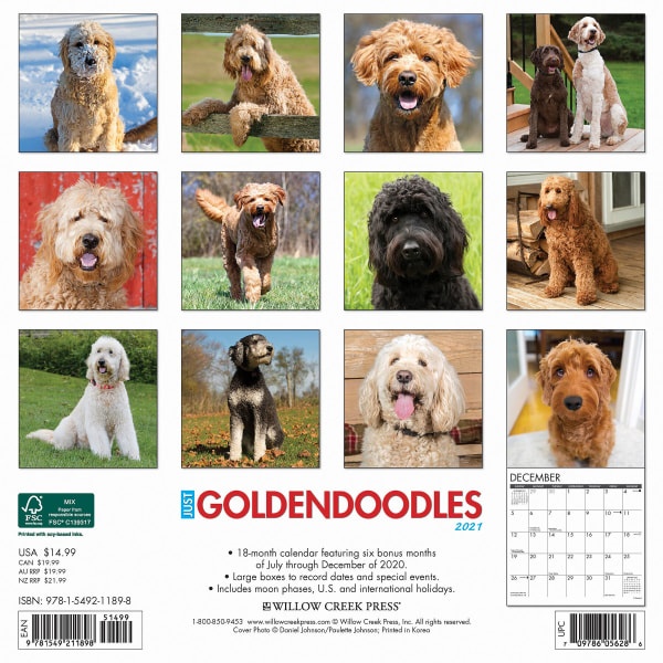 slide 3 of 3, Willow Creek Press Animal Monthly Wall Calendar, 12'' X 12'', Goldendoodles, January To December 2021, 1 ct