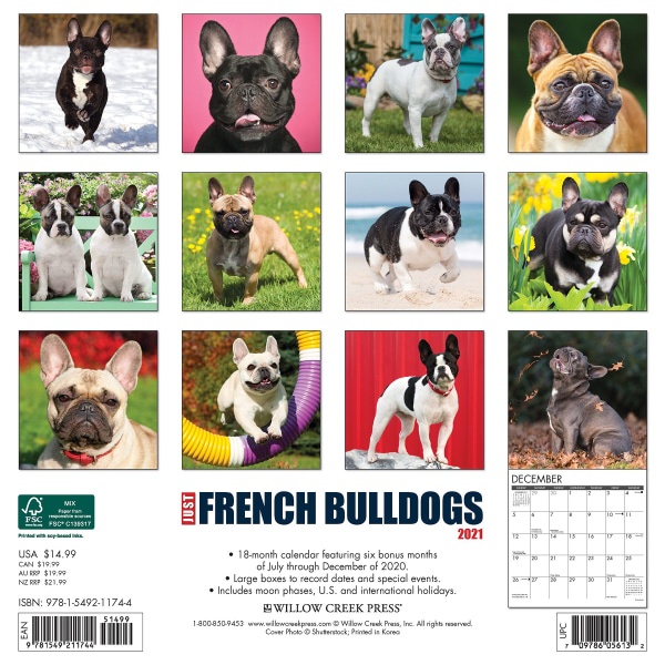 slide 2 of 3, Willow Creek Press Animal Monthly Wall Calendar, 12'' X 12'', French Bulldogs, January To December 2021, 1 ct