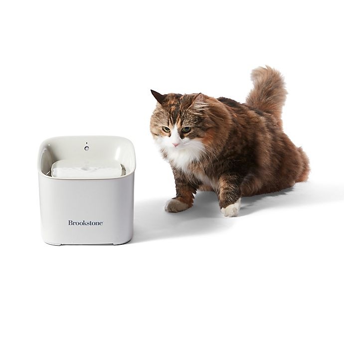 slide 5 of 5, Brookstone Motion Sensor Pet Water Fountain - Natural, 1 ct