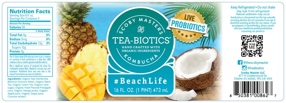 slide 1 of 1, Tea-Biotics #Beachlife Kombucha, 16 fl oz