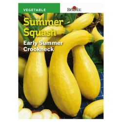 Burpee Early Summer Golden Crookneck Squash - Each
